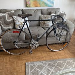1975 Schwinn Paramount Road Bike.