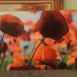 IKEA PJÄTTERYD picture features a vibrant, springtime floral design