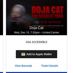 Two DOJA CAT Tickets 12/13