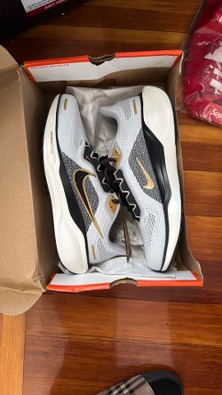 Nike Pegasus Air Zoom