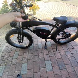 E-bike  WINDONE 