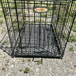 Dog Crate (2 Available) 