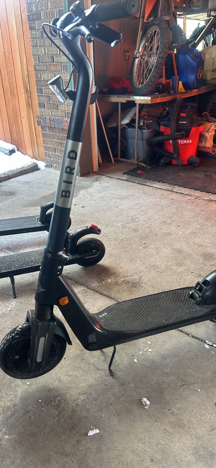 Bird E Scooters