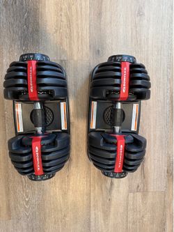 BowFlex 552 Adjustable Dumbbells + FLYBIRD Adjustable Bench