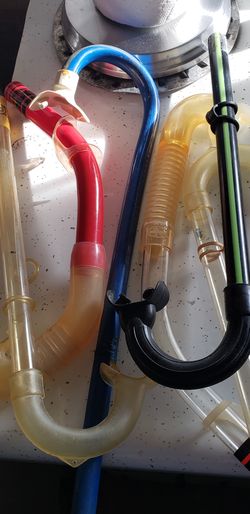 Six snorkels your Choice