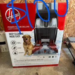 Carpet Cleaner 