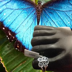 925 Sterling Silver Filigree Butterfly Ring
