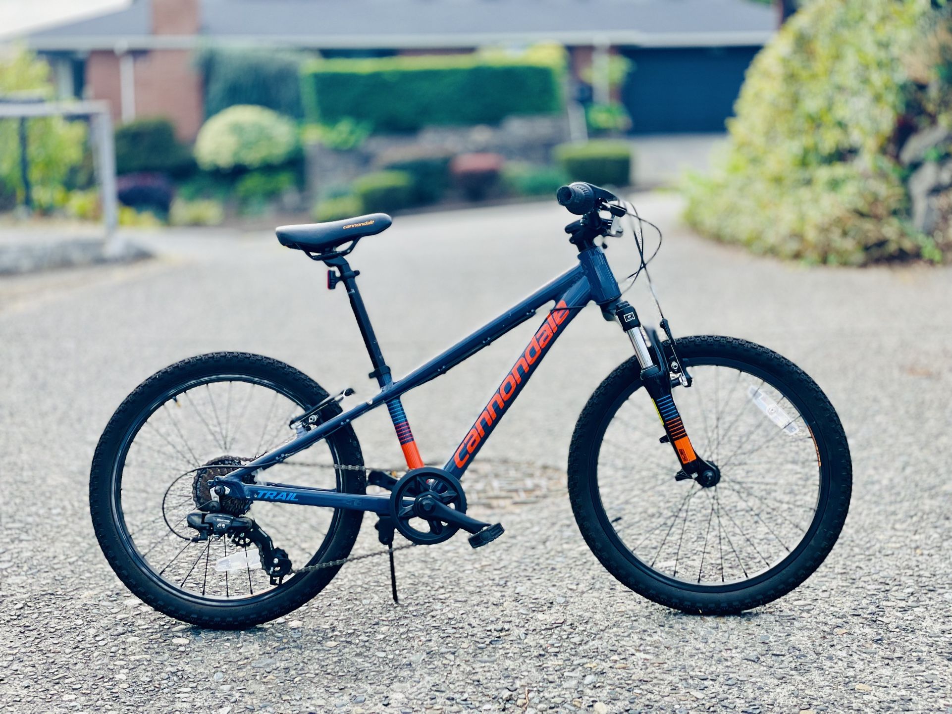 Cannondale slate blue 20inch C4