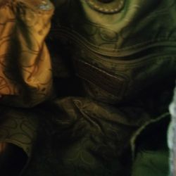 Awesome Fossil Drawstring Bag And Wallet 