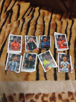 CC panini 2026