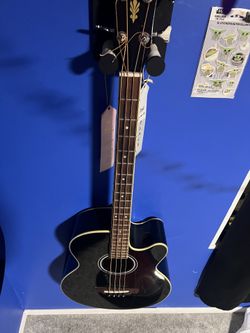 Electric Bass Guitar