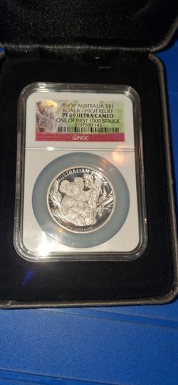 2013P australia koala