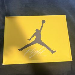 jordan 4’s “lighting”