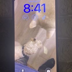 Iphone 13 blue unlocked 