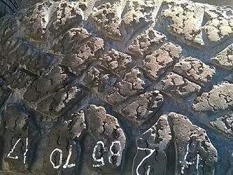 285 70 17 one Goodyear Wrangler tire