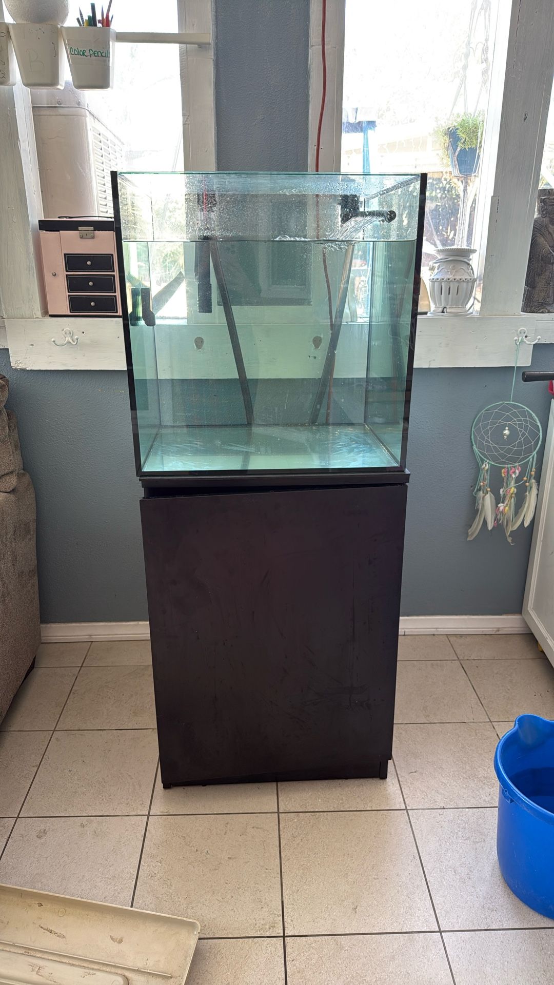 Fish Tank 
