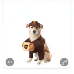 Dog Costume