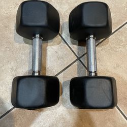 30lb Dumbbells Ziva