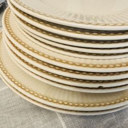 Dinner Plates