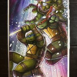 Teenage Mutant Ninja Turtles #13 Szerdy Virgin Variant 1:25 IDW 2025 C