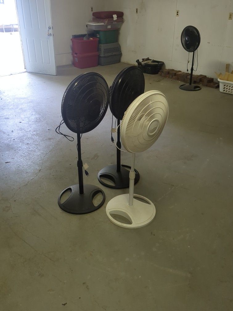 Lasko Brand Fans