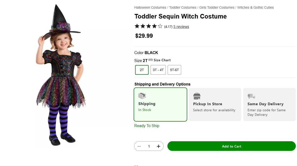 Toddler Witch Costume