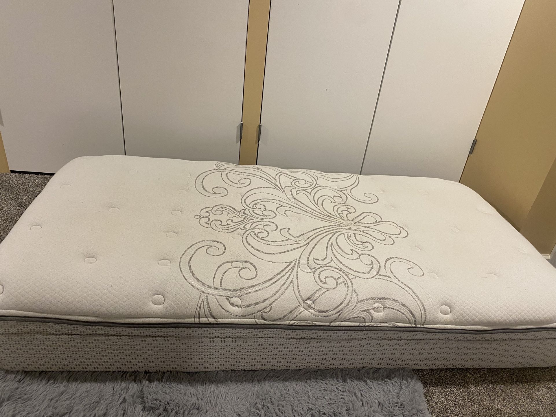Sealy Twin Mattress $70, Box Spring $30 Twin Metal Bedframe $30