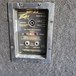 Peavey, Speaker
