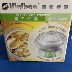 New Electronic Stewpot