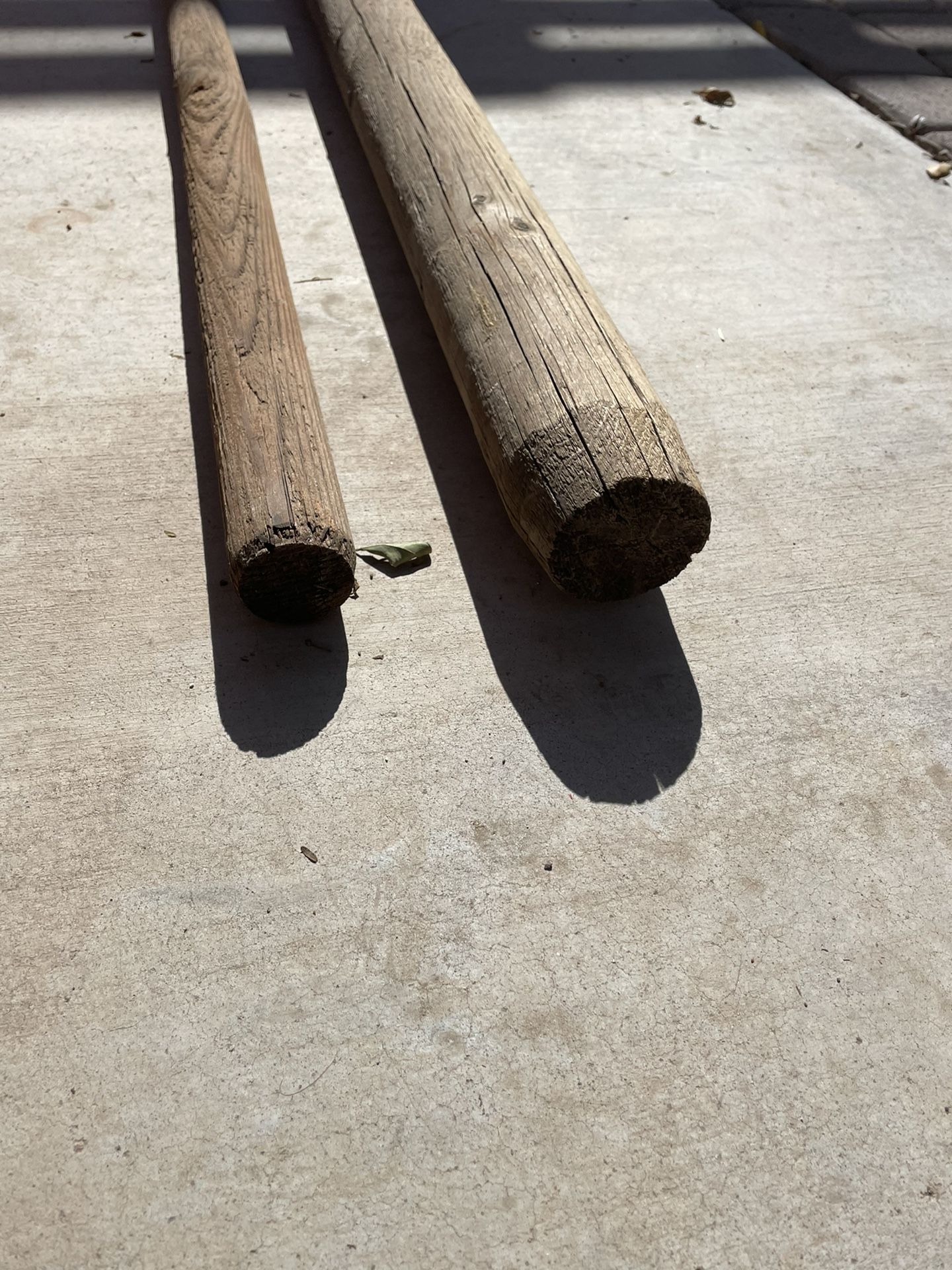 Tree Stakes