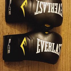 Everlast Boxing Gloves 