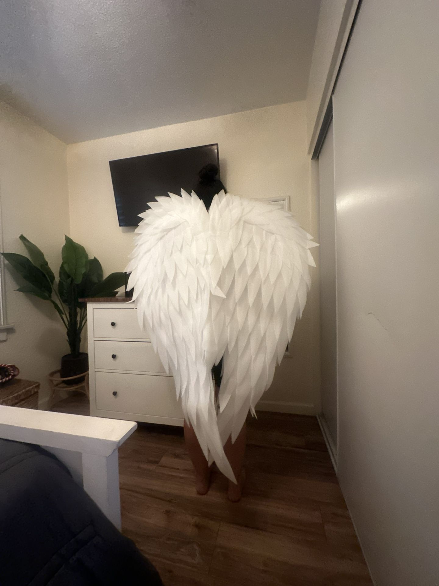 Angel Wings 