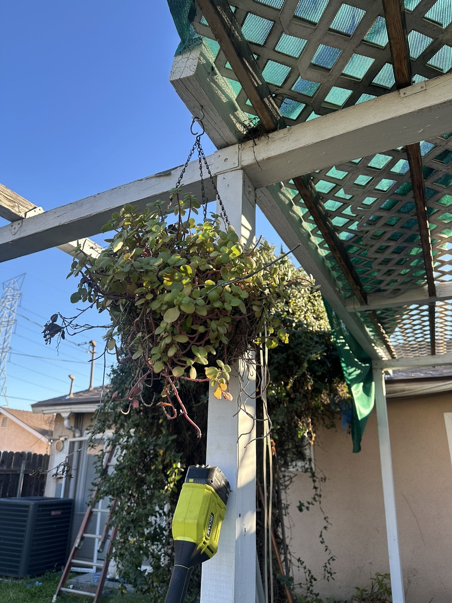 NEED GONE ASAP BEST OFFER TAKES IT 