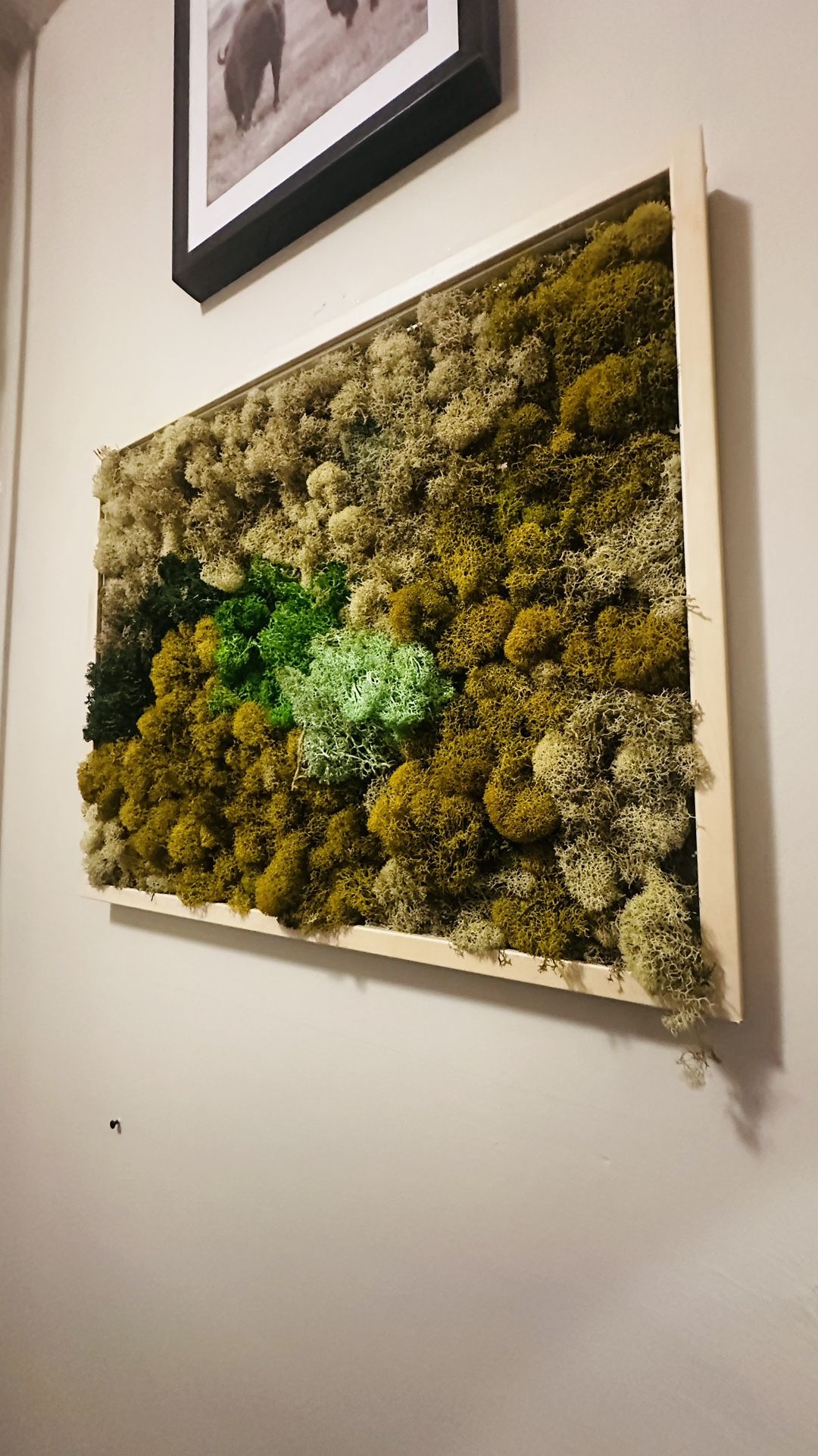 Moss Wall Art