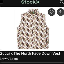 The North Face X Gucci Puffer 