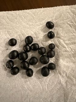 Curry leaf seeds