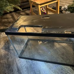 10 Gallon Tank With Lid 