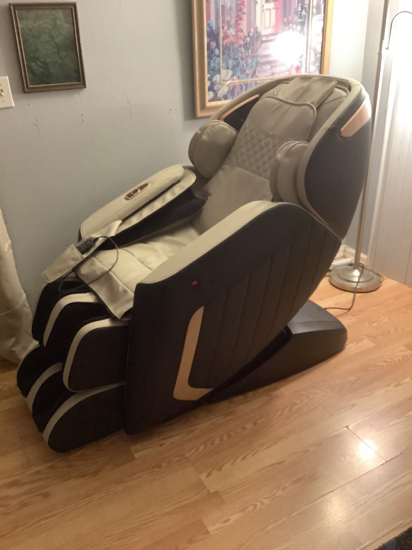 Full Body Massager