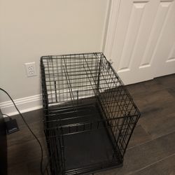 Cat/Dog kennel