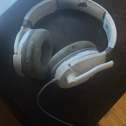 Turtle beaches for both consoles