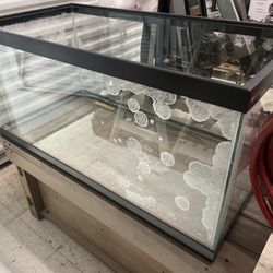 Giant Fish Tank Aquarium Terrarium