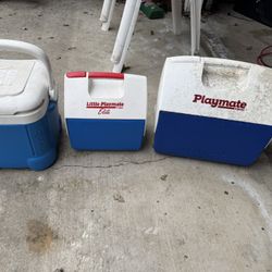 Igloo Coolers 