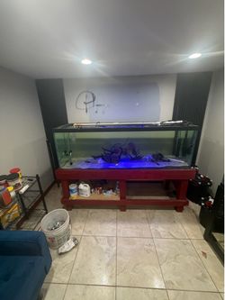 180 gal fish tank
