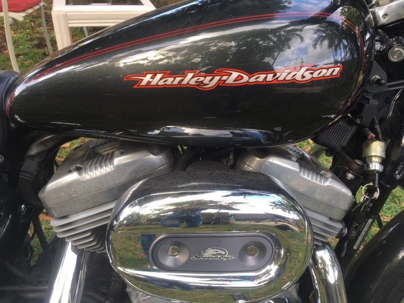 Harley Davidson 883
