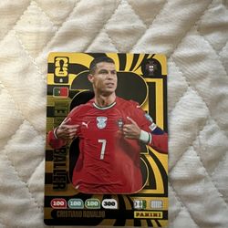 Panini adrenalyn XL WC 26 Cards 