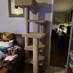 Cat Tree Tower