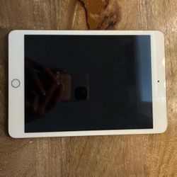 iPad Mini 3