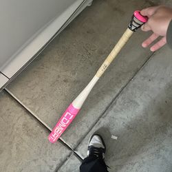 Slowpitch softball bat