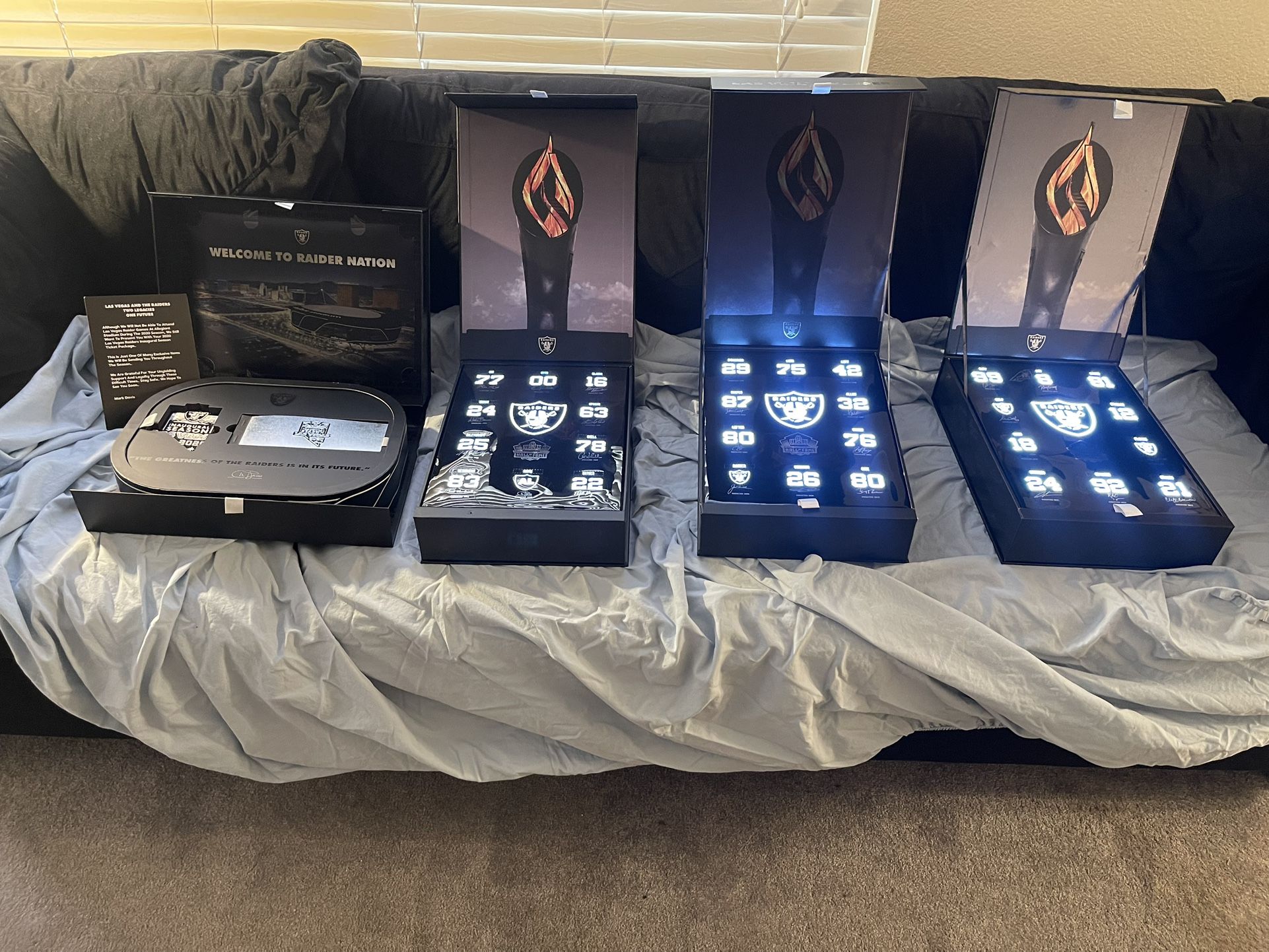 Las Vegas Raiders Inaugural Season Ticket Package