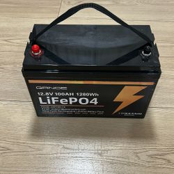 12V 100Ah LiFePO4 Lithium Battery Group 31 Built-in 100A BMS, 1280Wh up to 15000 Deep Cycles Rechargeable Battery for RV, Marine, Van, Backup 